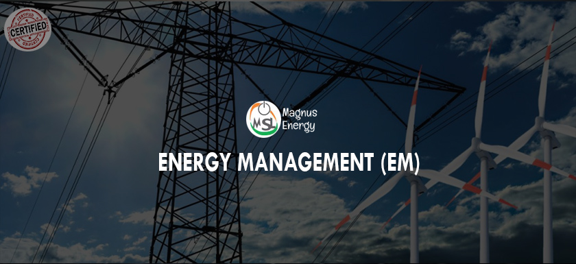 Energy Management (EM)