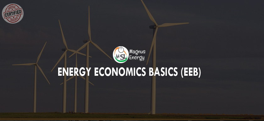 Energy Economics Basics (EEB)